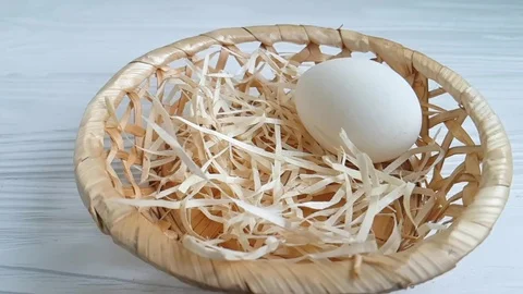 White egg flies slow-motion Stock Footage 87879949