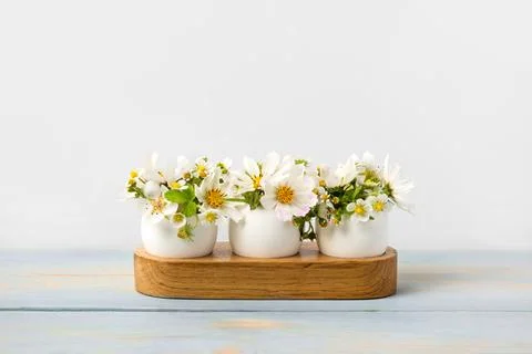 White egg with flowers Stock Photos