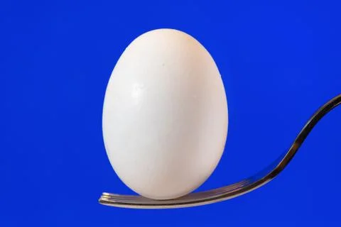 White egg on fork with blue display background Stock Photos