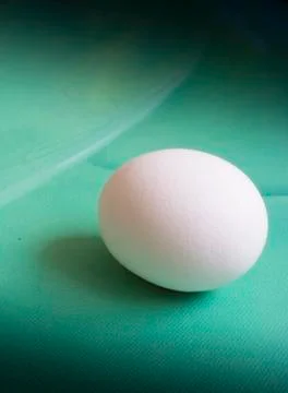 White egg on green canvas Stock Photos
