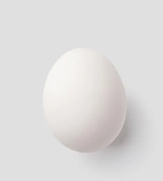 White egg isolated on gray with clipping path Stock Photos