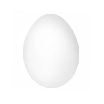 White egg isolated on white background. One chicken egg closeup. Stock Photos