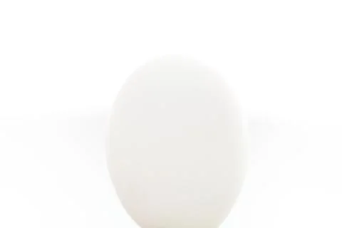 White egg isolated on white Stock Photos