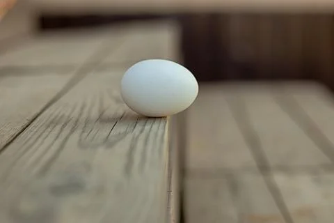 White egg lies on the step Stock Photos