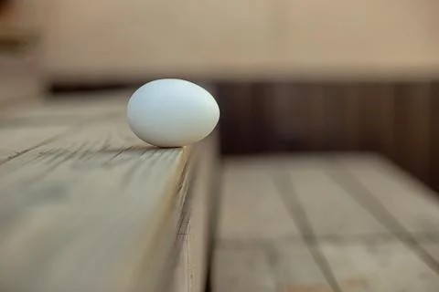White egg lies on the step Stock Photos