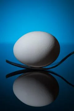 White egg lying on fork Stock Photos