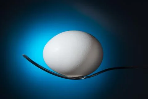White egg lying on fork Stock Photos