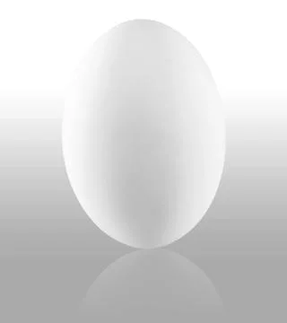 White egg Stock Photos