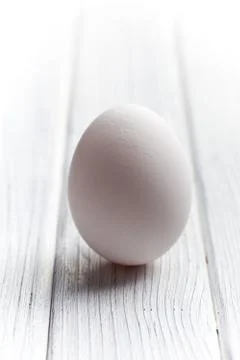 White egg Foto stock