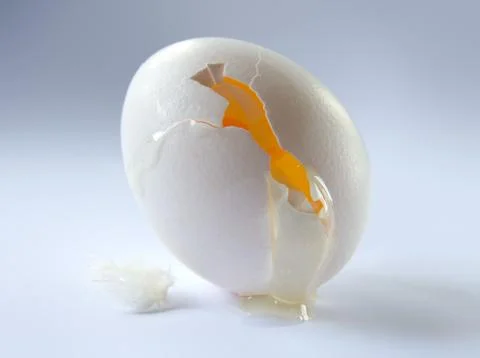 White egg Stock Photos