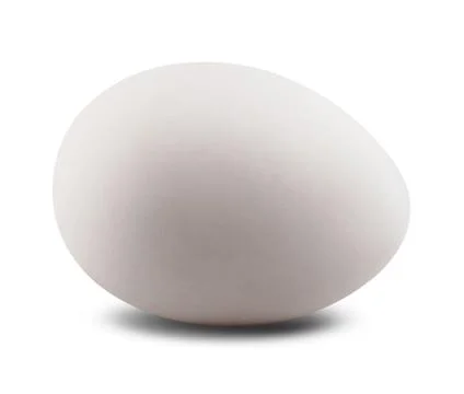 White egg Stock Photos