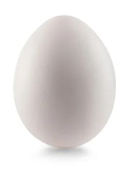 White egg Foto stock