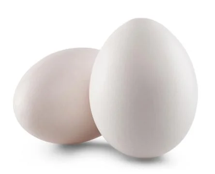 White egg Stock Photos