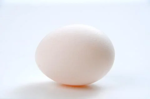 White egg Stock Photos