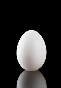White egg Stock Photos