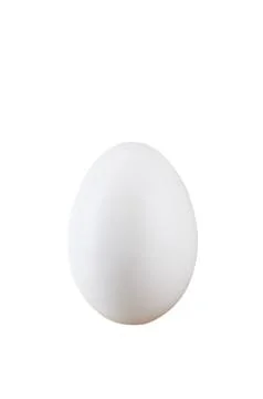 White egg Stock Photos