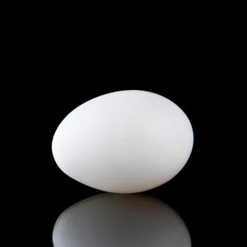 White egg Stock Photos