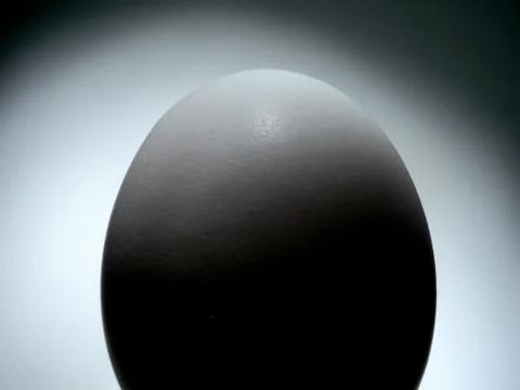 White egg Stock Photos