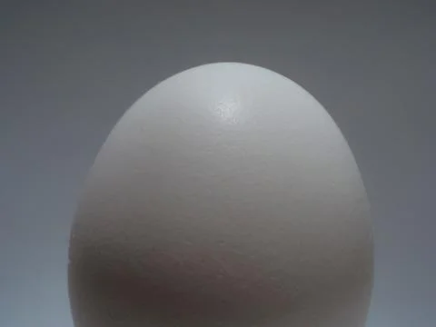 White egg Stock Photos