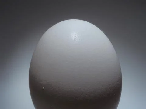 White egg Stock Photos