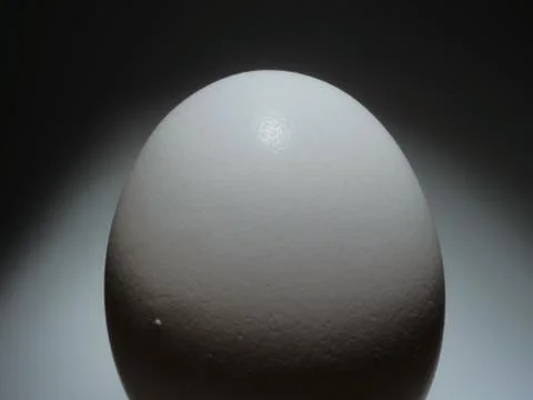 White egg Stock Photos