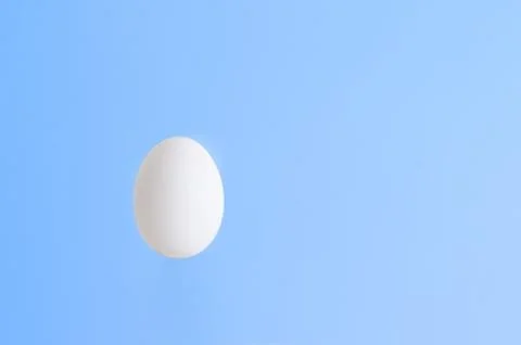 White egg Fotos de archivo