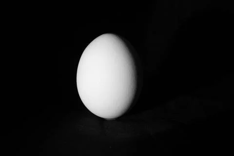 White egg Stock Photos