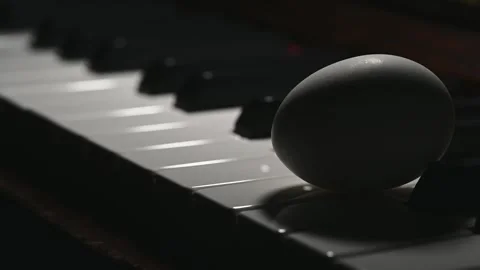 White Egg on Piano Keys with Changing Light and Shadows Stock Footage 345089971