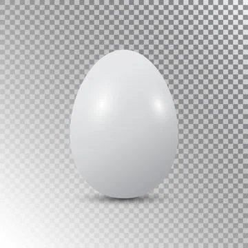 White egg realistic vector Stock Illustration