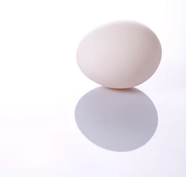 White egg with reflection Fotos Stock