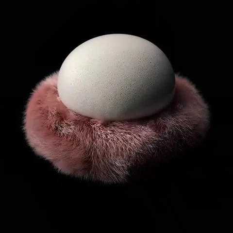White Egg Resting on Soft Pink Fur 스톡 동영상 347693203