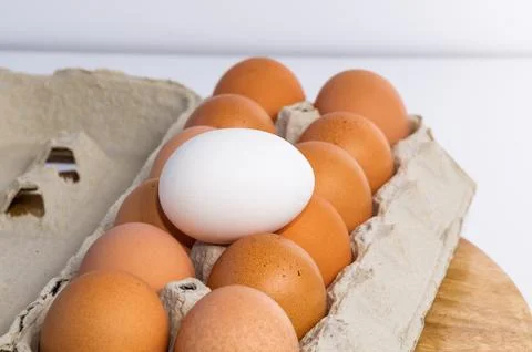 A white egg rests on top of the package of brown eggs. Foto stock