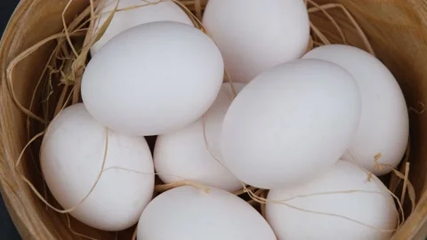 White egg rotate Stock Footage 236685380