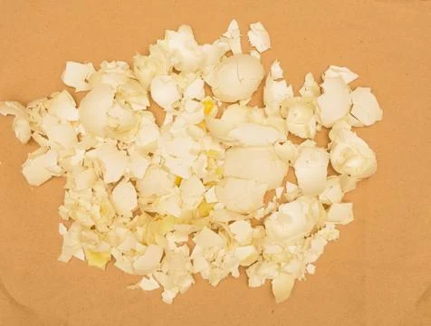 White egg shells isolated on brown paper. Stock Photos