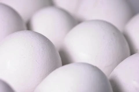 White Egg Shells Macro Abstract Background Stock Photos