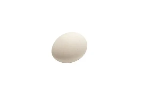 A white egg is sitting on a white background Stock Illustration