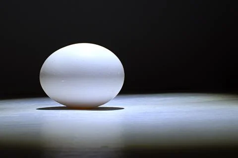 White egg in spot of top light Stock Photos