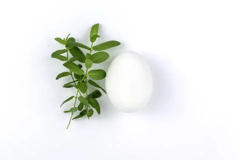 A white egg with sprigs of green grass on a white background. Farm eggs, natu Stock Photos