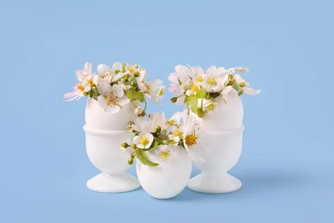 White egg with spring flowers Stock Photos