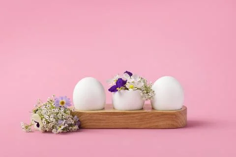 White egg with spring flowers Stock Photos