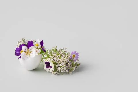 White egg with spring flowers Stock Photos