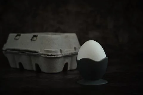 White egg on a stand on a dark background 스톡 사진