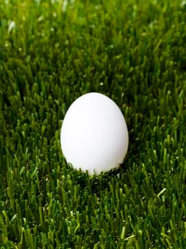 White egg standing on the green grass Stock Photos