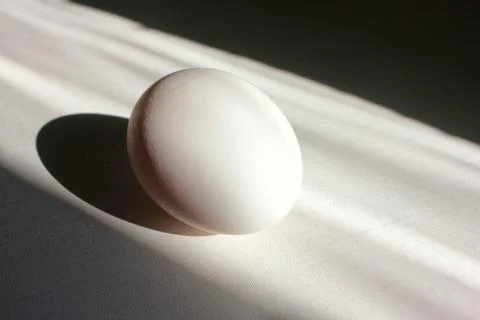 White egg on a white background with copy space. Hard light, deep shadows. Stock Photos