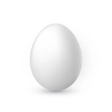 White egg on white background. Design template. Vector illustration. 스톡 일러스트