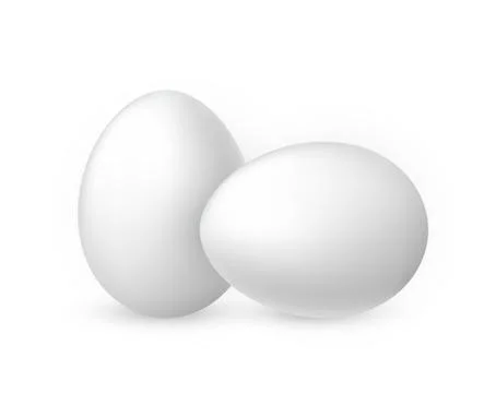White egg on white background. Design template. Vector illustration. Illustrazione stock