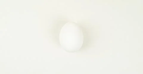 White egg on a white background, egg color minimalism Stock Photos