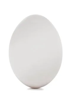 White egg on white background Stock Photos