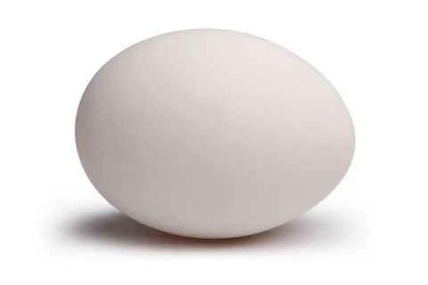 White egg on white background Stock Photos