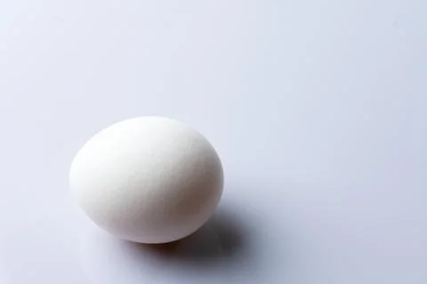 White egg on white background 스톡 사진